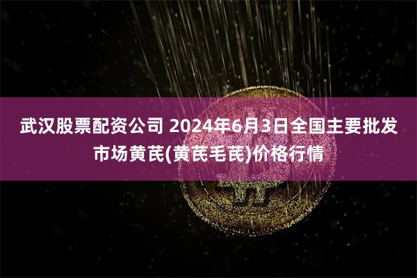 武汉股票配资公司 2024年6月3日全国主要批发市场黄芪(黄芪毛芪)价格行情