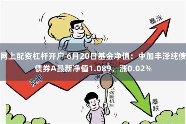 网上配资杠杆开户 6月20日基金净值：中加丰泽纯债债券A