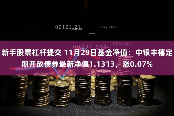 新手股票杠杆提交 11月29日基金净值：中银丰禧定期开放