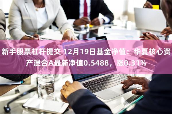 新手股票杠杆提交 12月19日基金净值：华夏核心资产混合