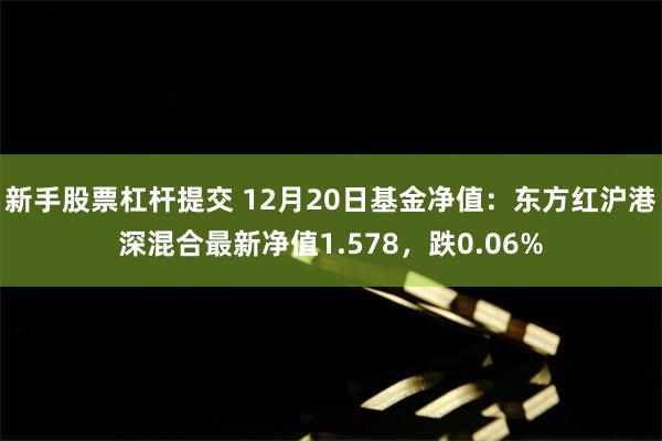 新手股票杠杆提交 12月20日基金净值：东方红沪港深混合